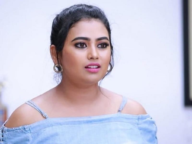 Fareena About Bharathi Kannamma Serial End card