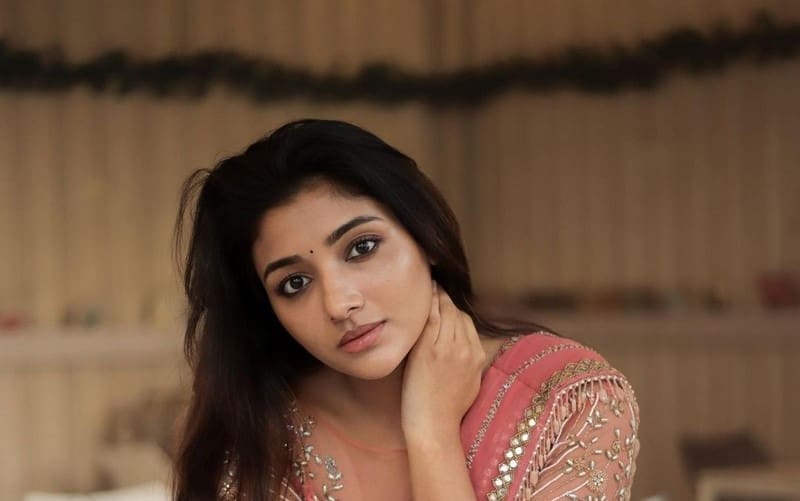 Actress Mirnaa Latest Photos