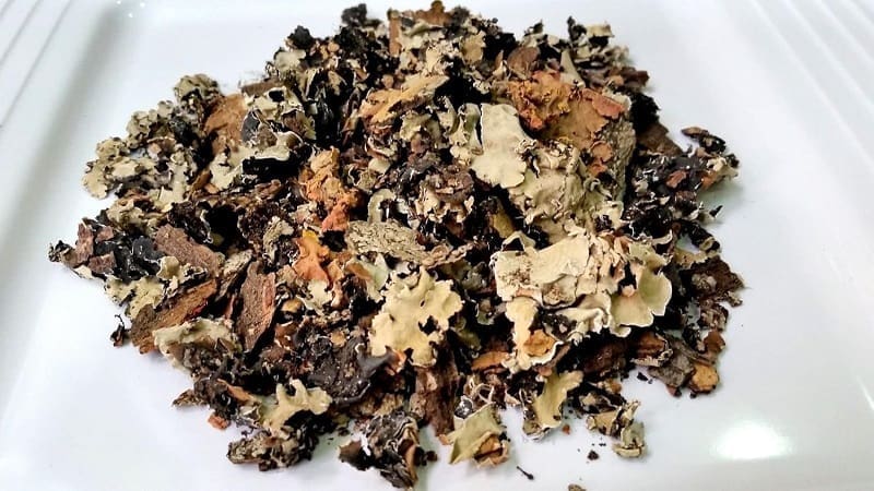 Benefits of Kalpasi..!