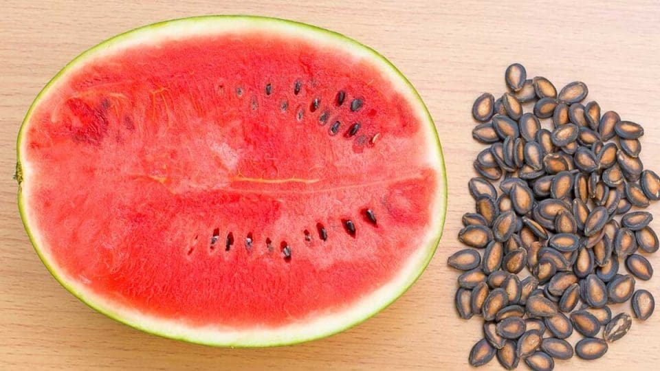Benefits of watermelon seeds.!!