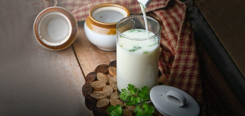 benifits drinking of butter milk