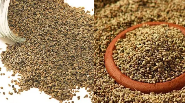 Benifits eating of carom seeds