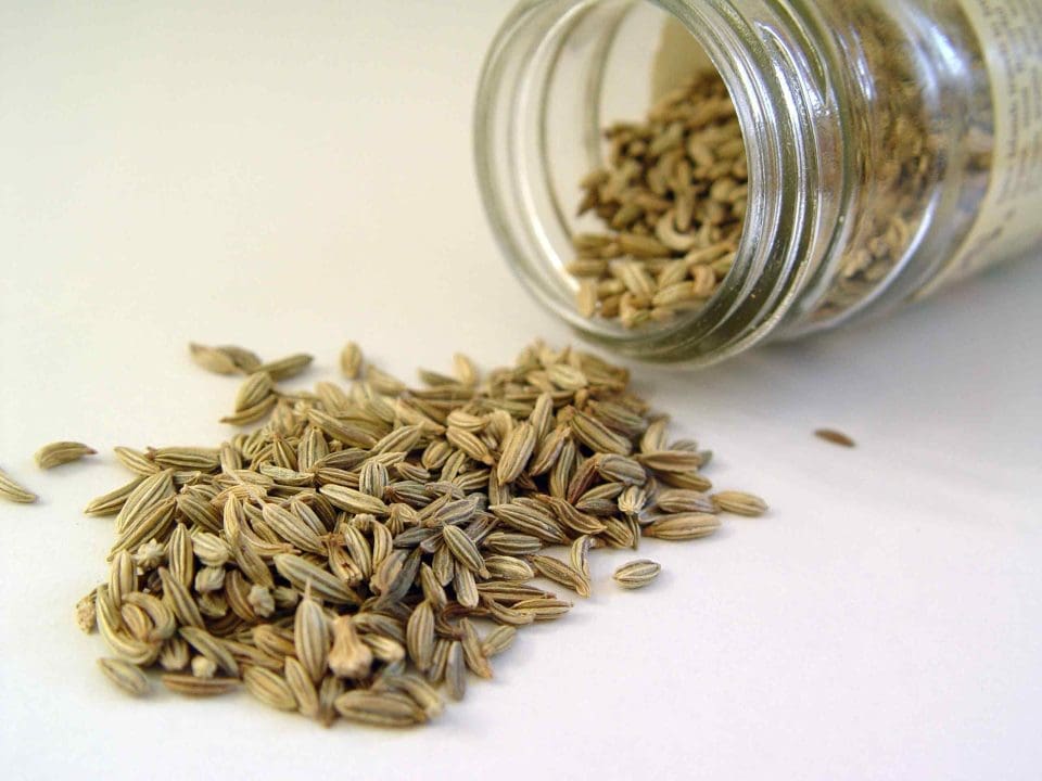 benifits eating of fennel seeds